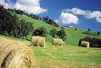 Fruchtbares Weideland-SW Farmlandschaft.jpg